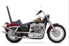 2009-Harley-Davidson-Sportster-883LowXL883La-Gimp-no handlebar-03.jpg